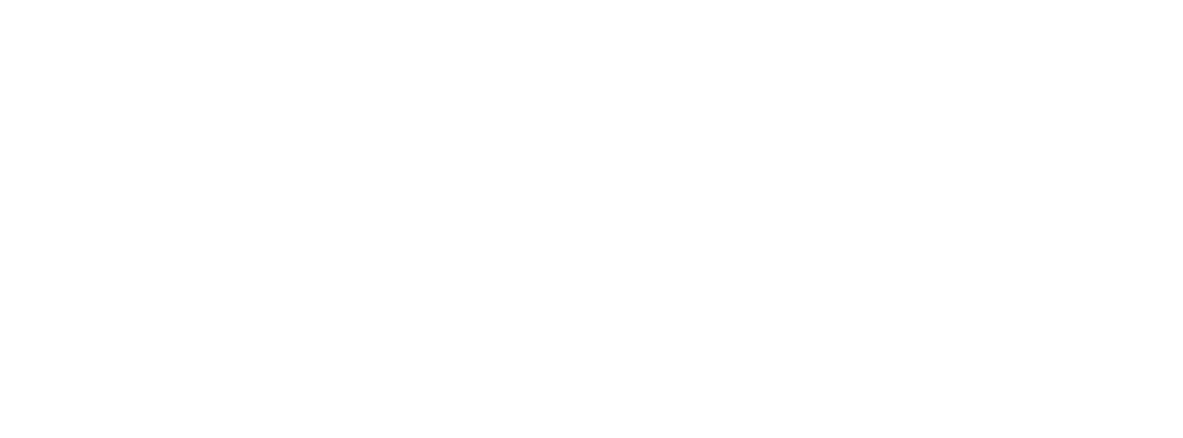 Saviynt logo